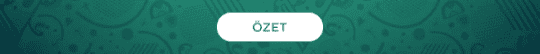 Özet